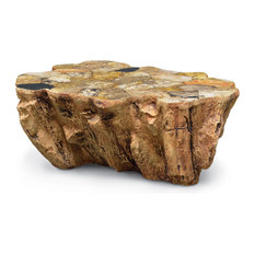 Petrified Wood Coffee Tables Houzz Palecek Petrified Wood Lava Coffee Table Tables