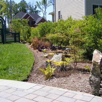 New Home, Backyard from scratch