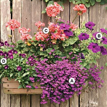 Planting and Potting Real & Artificial Plants