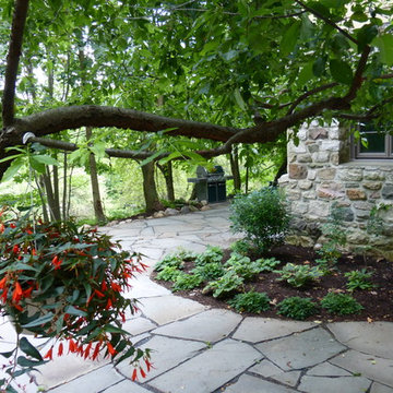 Entrance Schemes - View descending stone steps