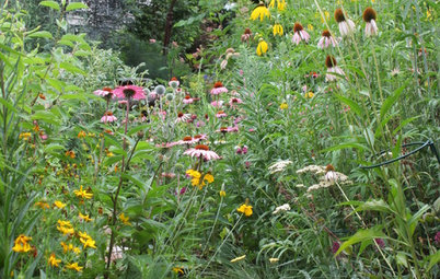 3 Ways Native Plants Make Gardening So Much Better