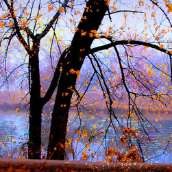 Out The Window - Paintings