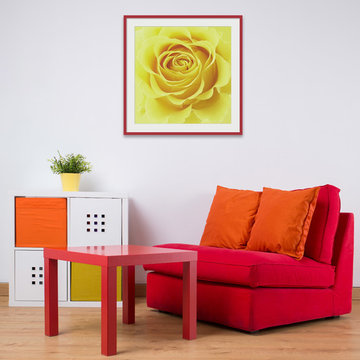 Bring Life into Your Living Room