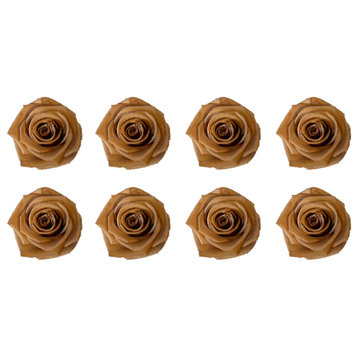 Regular Preserved Roses, Set of 8, Nude