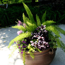 container gardens