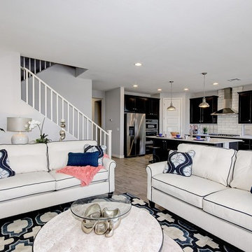 Model Home Design - Peoria, AZ