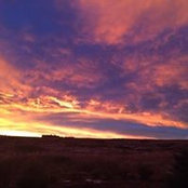 Shawn Lyndon's photo