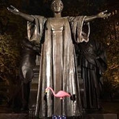 Craig Taylor's photo