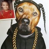 Jennifer Nesovic's photo