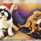 Foto de Toni Kovach
