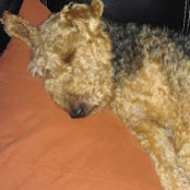 Amy Slone's photo