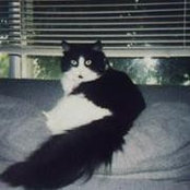 Doris Danford's photo