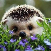 Jillian Foster's photo