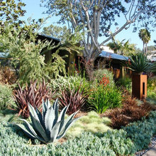 Front Yard Remodel