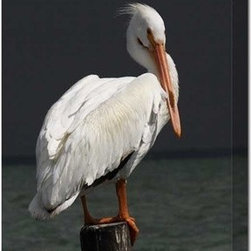 Pelican on Post Outdoor Canvas Art - Home Decor