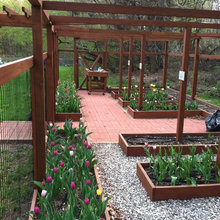Raised Vegetable/Herb Garden