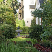 Landscape Ideas