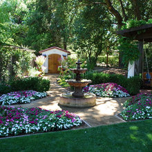 Flowers and Plants