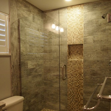 Shower Renovation, Lighting Upgrade, & Frameless Glass Install in Palm Harbor