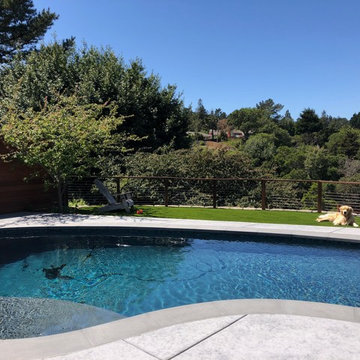 Small Kidney Pool remodel