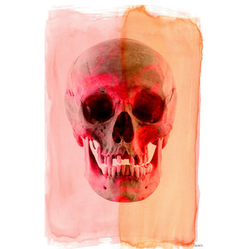 "Skull" Fine Art Canvas Print, 16"x24"