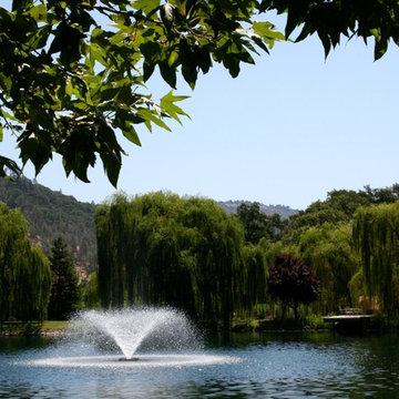 Black Swan Lake, Napa Valley