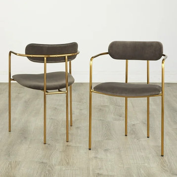 2 Pack Dining Chair, Golden Metal Frame With Velvet Seat & Open Back, Gray
