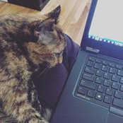 Leah Abell's photo