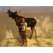 Tobias Messer's photo