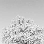 Luis Salazar's photo