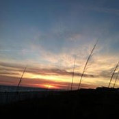 Audrey Allen's photo