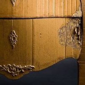 Emilie Mazeau-Langlais's photo