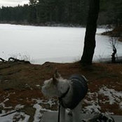 Jennifer Lunt's photo