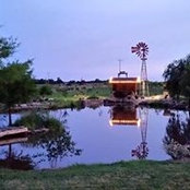 Daniel Stockemer's photo