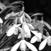 Clair Denlinger's photo