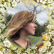 Kim Van Natta's photo
