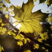 Rufa Mamedova's photo