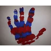 Tracy Cook Lennox's photo