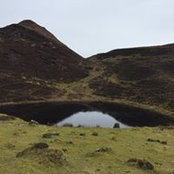 Jane Groom's photo