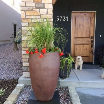 Solitary Black Clay Planter Pot