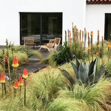 Jardin méditerranéen contemporain | 4000m²