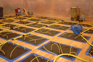 Hardwood Floor Drying
