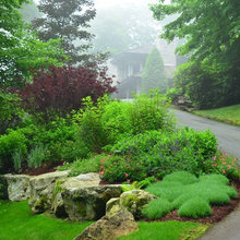Drive Way