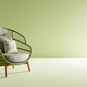 2024 new release - The VASCA collection