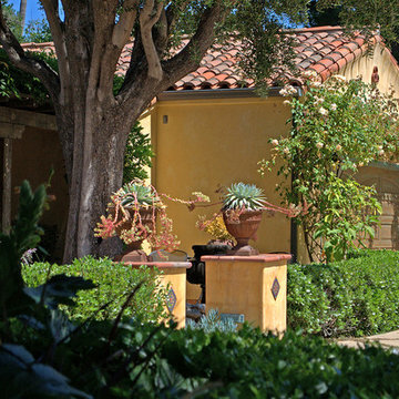 Spanish Entry