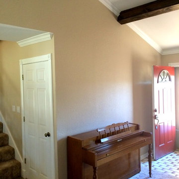 Termite Damage Repair