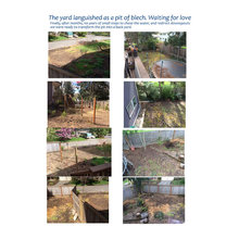 My Backyard remodel