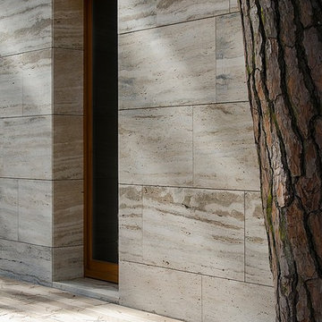 House in a Pinewood