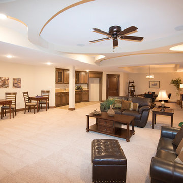 Lower level rec room