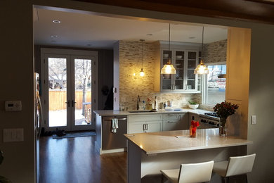 Inspiration for a mid-sized modern home design remodel in Denver
